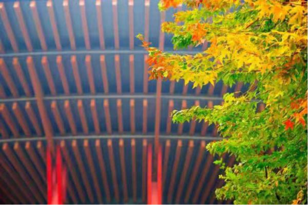 141236112.jpg 32-3.jpg