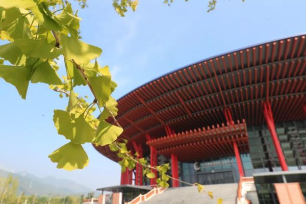 141620111.jpg 33-1.jpg